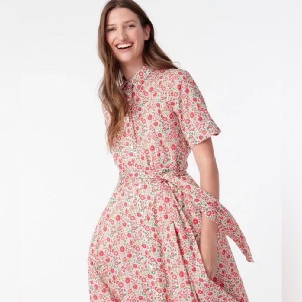 JCrew Liberty Dress . Size 8